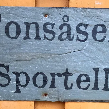 Tonsasen Sportell Guest house Bruflat