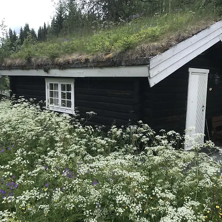 Tonsasen Sportell Guest house Bruflat